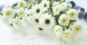 枕花の画像