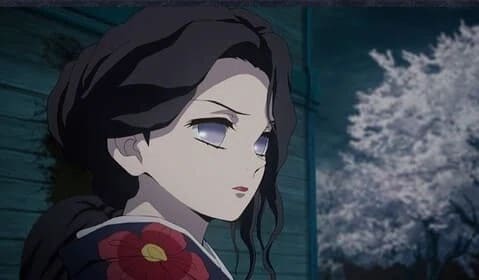 珠世の画像