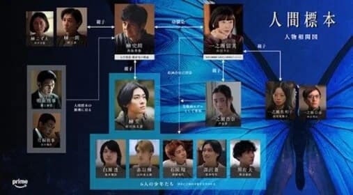 人間標本の画像