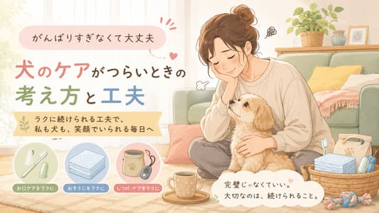 犬のお世話に疲れたときの対処法｜頑張りすぎないための工夫と便利グッズを紹介アイキャッチ画像