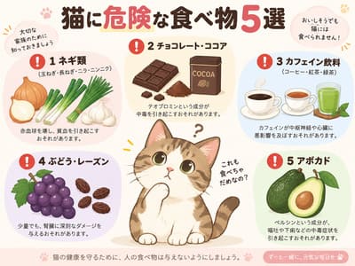 猫に危険なもの20選｜家の中で注意したい食べ物・植物・日用品を紹介！の画像