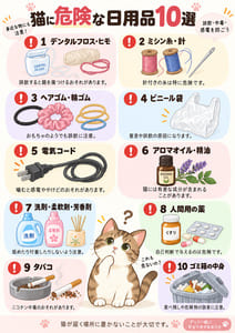 猫に危険な日用品10選の画像