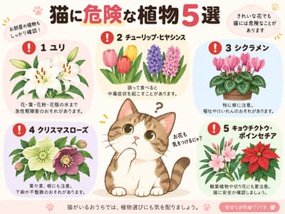 猫に危険なもの20選｜家の中で注意したい食べ物・植物・日用品を紹介！の画像